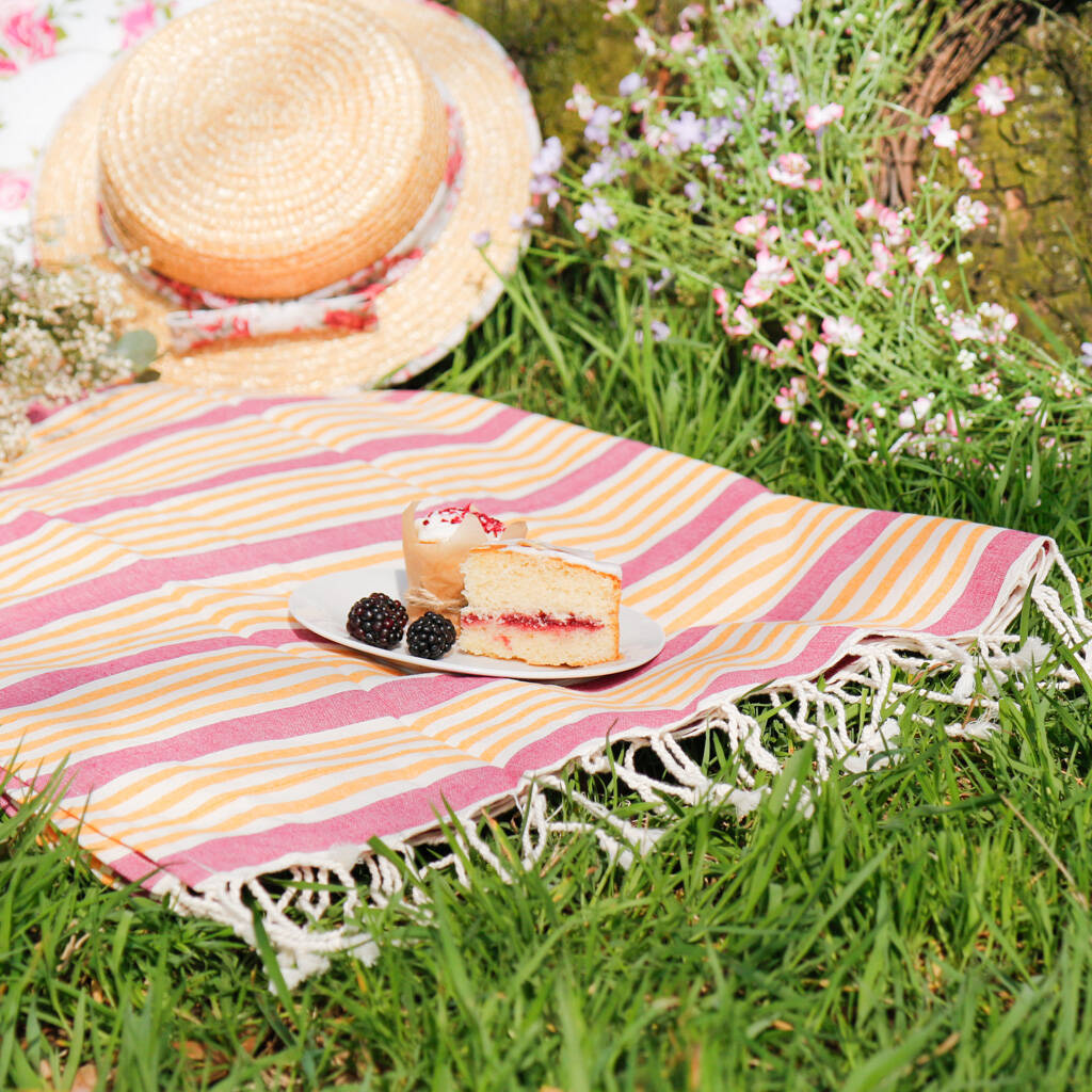 boden picnic blanket
