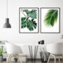 Set Of Three Botanical Green Leaves Prints, thumbnail 6 of 10