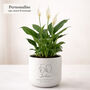 Personalised 50th Birthday Pot With Houseplant, thumbnail 3 of 6