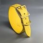 Yellow Leather Whippet Collar Can Be Personalised, thumbnail 1 of 12