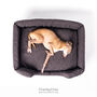 Charley Chau Deep Sided Dog Bed In Weave Ii, thumbnail 3 of 12