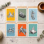 Pack Of Six Marine Life Birthday Cards, thumbnail 1 of 11