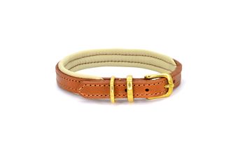 Luxury Padded Leather Dog Collar, 9 of 12