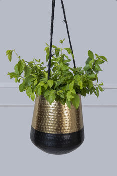Golden And Black Hanging Plant Pot, 2 of 4