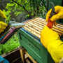 Yorkshire Beekeeping Experience, thumbnail 5 of 8