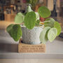 House Plant Pot Stand, thumbnail 3 of 11