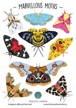Moth Sticker Sheet, 2 of 4