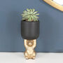 Bunny Rabbit Plant Pot, Easter, thumbnail 1 of 4