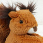 Scottish Red Squirrel Soft Toy And Personalised Keyring, thumbnail 4 of 5