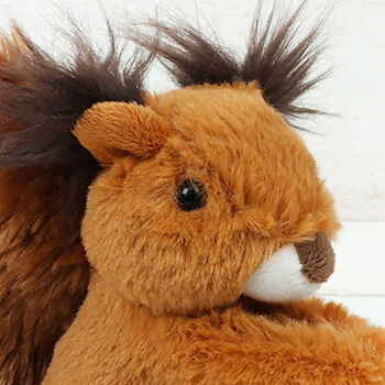 Scottish Red Squirrel Soft Toy And Personalised Keyring, 4 of 5