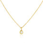 Hampton Moissanite And Gold Plated Necklace, thumbnail 3 of 4