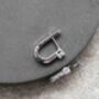 Platinum Plated Crystal Horse Shoe Hoop Earrings, thumbnail 1 of 3