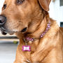 Personalised Doggy Bone Print Pet ID Tag, thumbnail 3 of 8