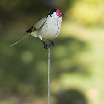 Goldfinch On Rod Recycled Metal Garden Sculpture, 2 of 3
