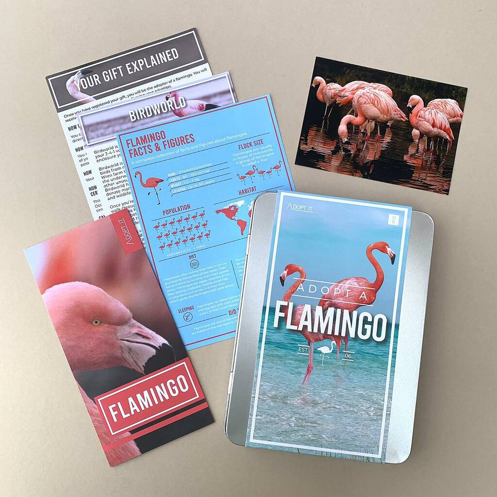 Image of Adopt A Flamingo Gift Box