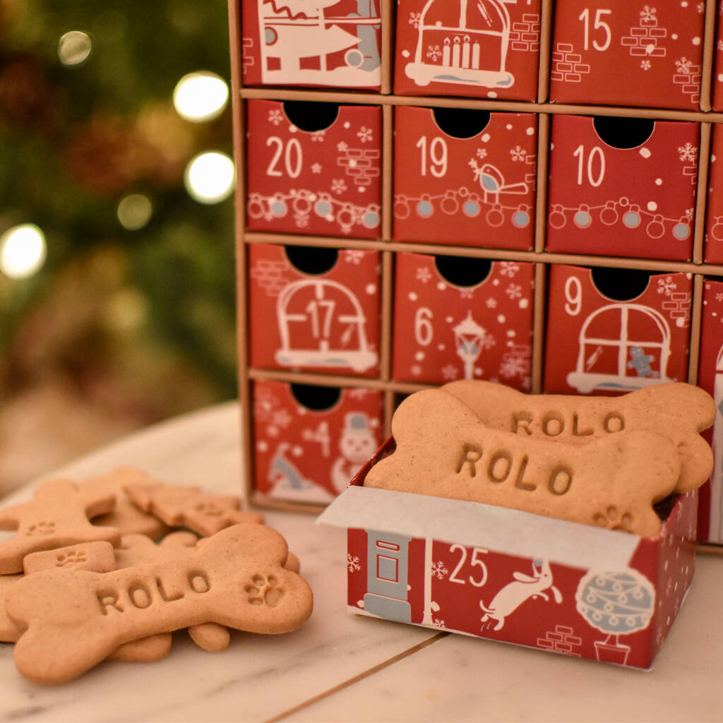Personalised Filled Dog Advent Calendar By Afternoon Paws 