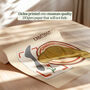 I Do Not Speak French Except Croissant Print, thumbnail 4 of 10