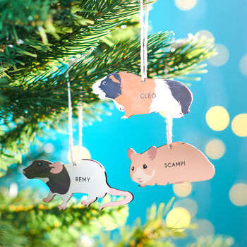 Personalised Pet Christmas Hanging Decoration, 2 of 10