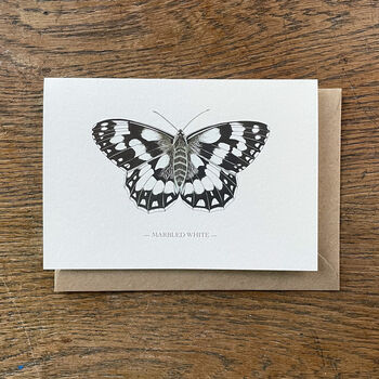 Illustrated Marbled White Butterfly Card Blank Inside, 2 of 7