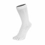 Essential Everyday Mid Calf Cotton Toe Socks, thumbnail 8 of 11