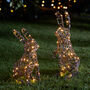 Pair Of Illuminated Fairy Light Rattan Bunnies, thumbnail 1 of 2