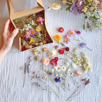 Wildflower Style Dried Flower Mix, 3 of 4