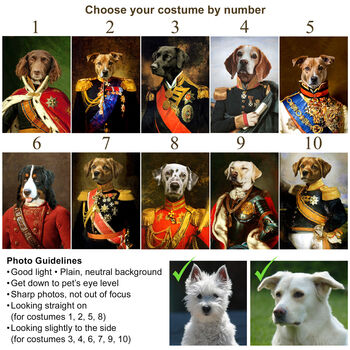 Personalised Regal King Or Admiral Renaissance Pet Portrait, 2 of 12