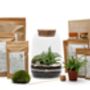 Closed Terrarium Kit With Live Plant | 'Luzern', thumbnail 1 of 10