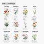 Personalised Birth Flower And Initial Insulated Travel Cup, thumbnail 5 of 9