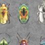 Beetle Jewels Multi Wallpaper, thumbnail 4 of 6