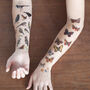 Butterflies And Moths Temporary Tattoo Pack, thumbnail 1 of 7