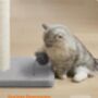 Cat Scratching Post With Spring Pompom And Sisal Pole, thumbnail 6 of 10