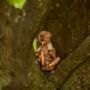 Solar Boy And Girl Garden Firefly Jar Outdoor Ornament, thumbnail 11 of 12
