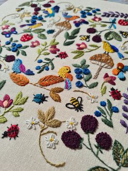Birds, Bugs And Berries, Hand Embroidery Kit, 11 of 12