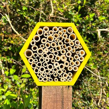 Wooden Bee House And Insect Hotel, 3 of 7