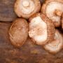 Shiitake Mushroom Log Growing Kit Gift Option, thumbnail 9 of 12