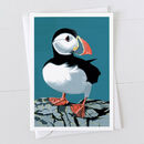 Puffin Card By Bird | notonthehighstreet.com