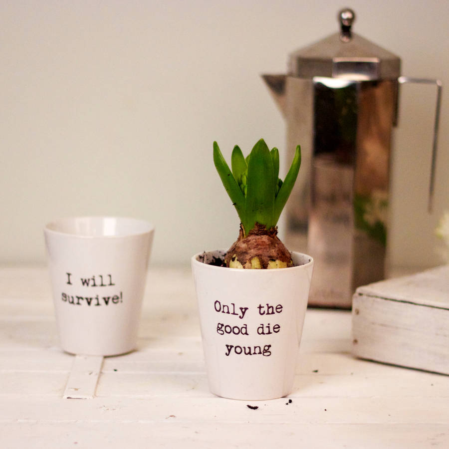personalised typewritten quote plant pot by snapdragon