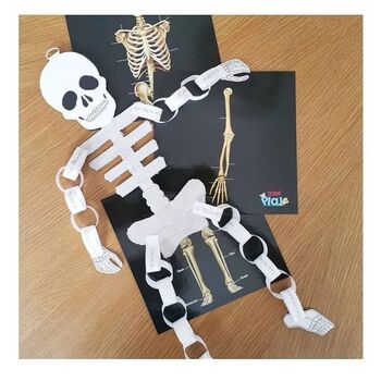 Human Anatomy Learning Cards And Gift Set, 4 of 12