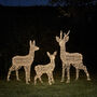 Swinsty Dual LED Battery Outdoor Reindeer Family, thumbnail 3 of 4