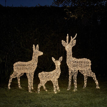 Swinsty Dual LED Battery Outdoor Reindeer Family, 3 of 4