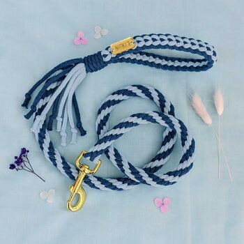 Make Your Own Blue Dog Lead Craft Kit, 2 of 7