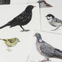 Garden Birds Postcard Set, thumbnail 3 of 4