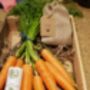 Carrot Seeds In A Seedtube, thumbnail 3 of 4