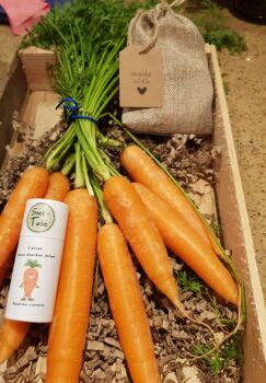 Carrot Seeds In A Seedtube, 3 of 4