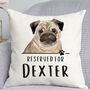 Reserved For Pug Cushion, thumbnail 1 of 2