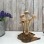 Assorted Wooden Mushroom Forest On Teak Root Wood, thumbnail 9 of 12