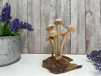 Assorted Wooden Mushroom Forest On Teak Root Wood, 9 of 12