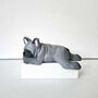 Sleeping French Bulldog Grey, thumbnail 2 of 10