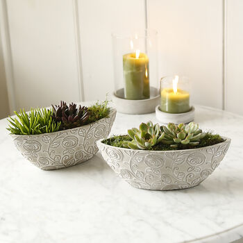 Bloom Oval Concrete Pot, 4 of 4
